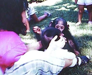 mia-attacked-by-monkey-1972-2.jpg